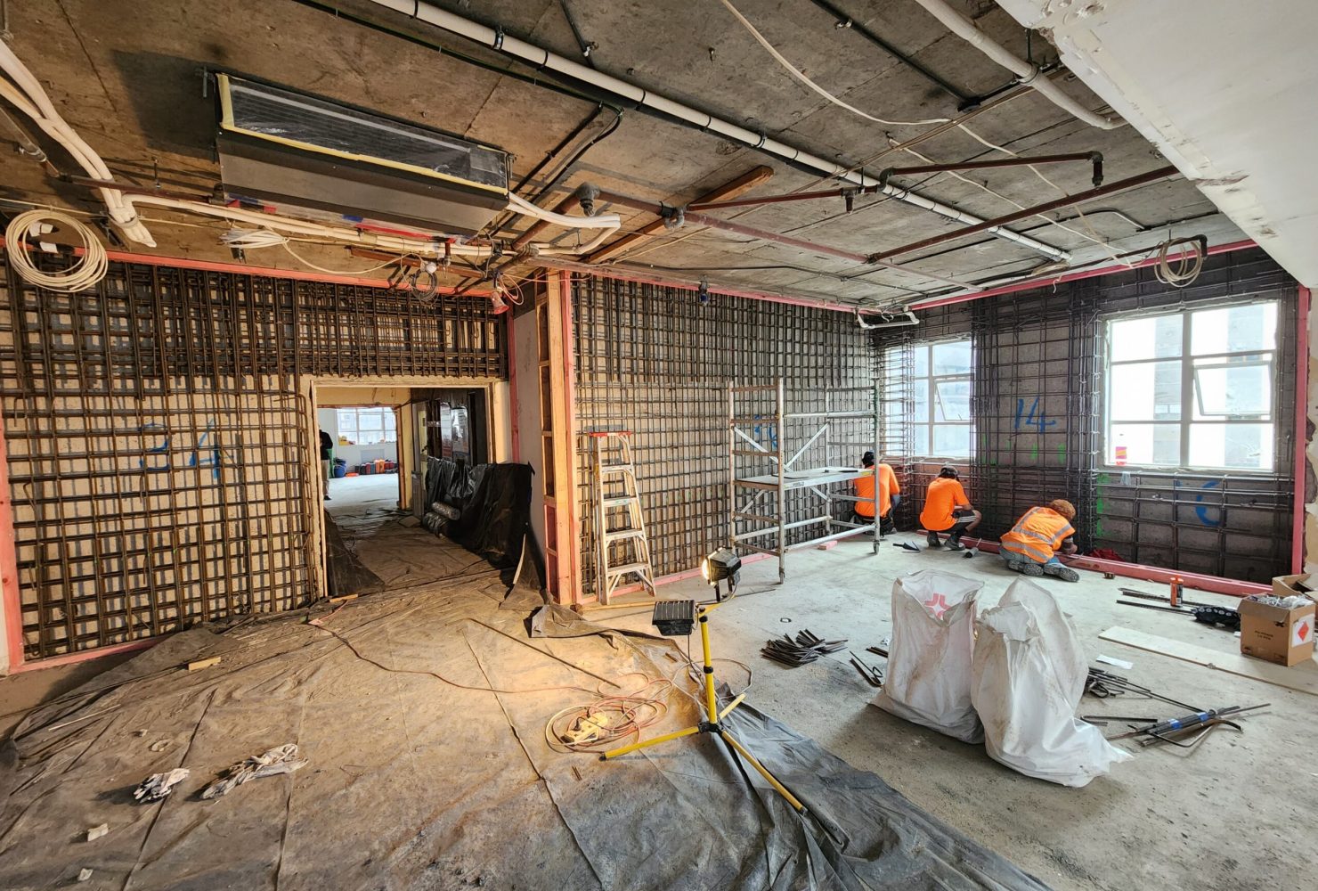 Seismic Works 85 The Terrace (1)